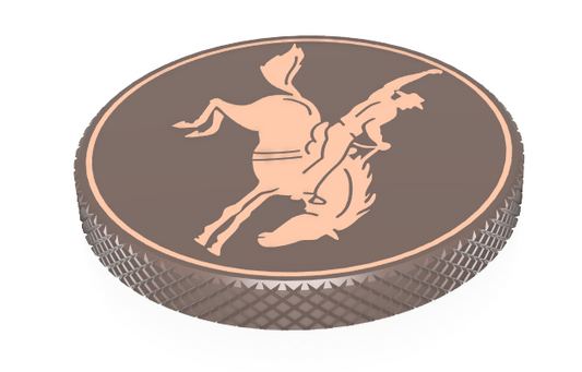BRONC image 1