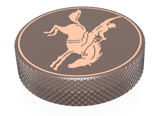 BRONC image 0